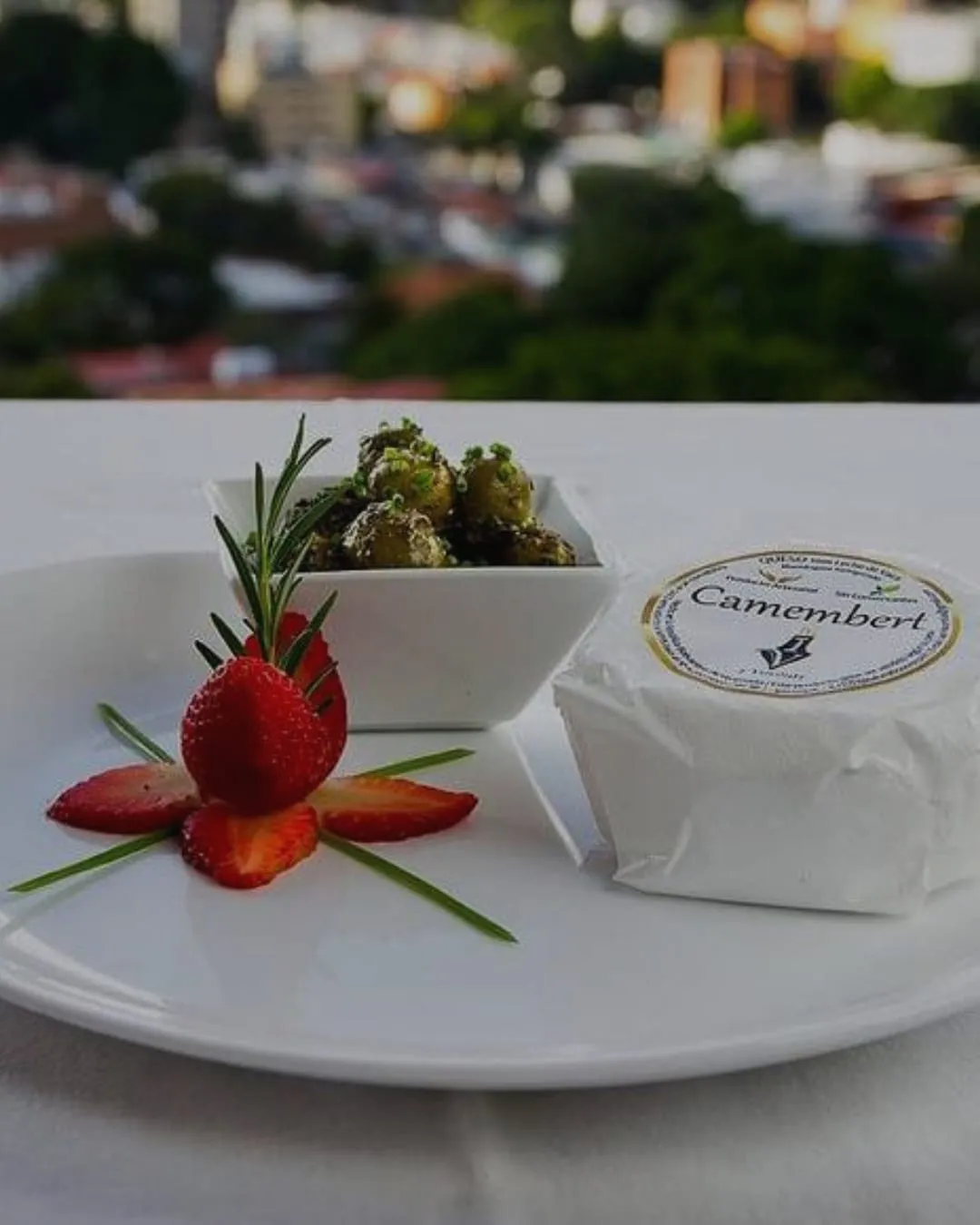Queso Camembert