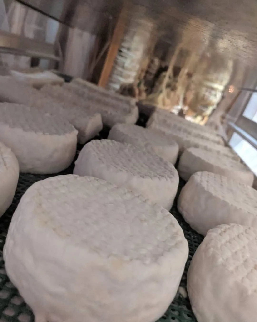 Queso Fermier